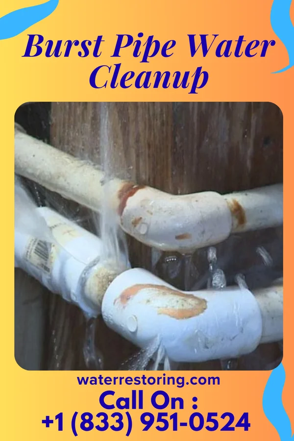 Burst Pipe Water Cleanup in East Honolulu, HI