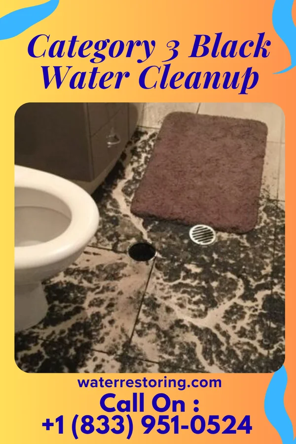 Category 3 Black Water Cleanup in East Honolulu, HI