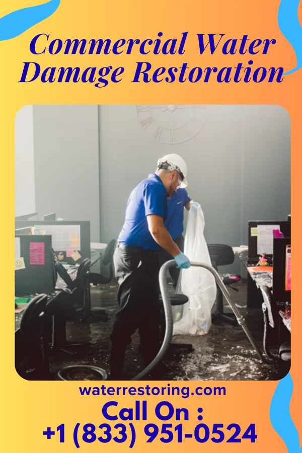 Commercial Water Damage Restoration in East Honolulu, HI