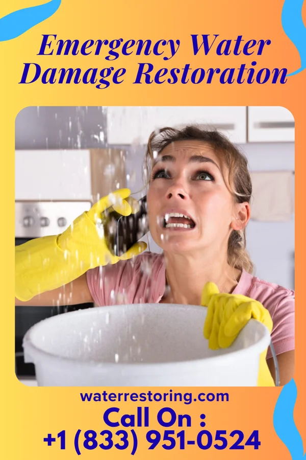 Emergency Water Damage Restoration in East Honolulu, HI