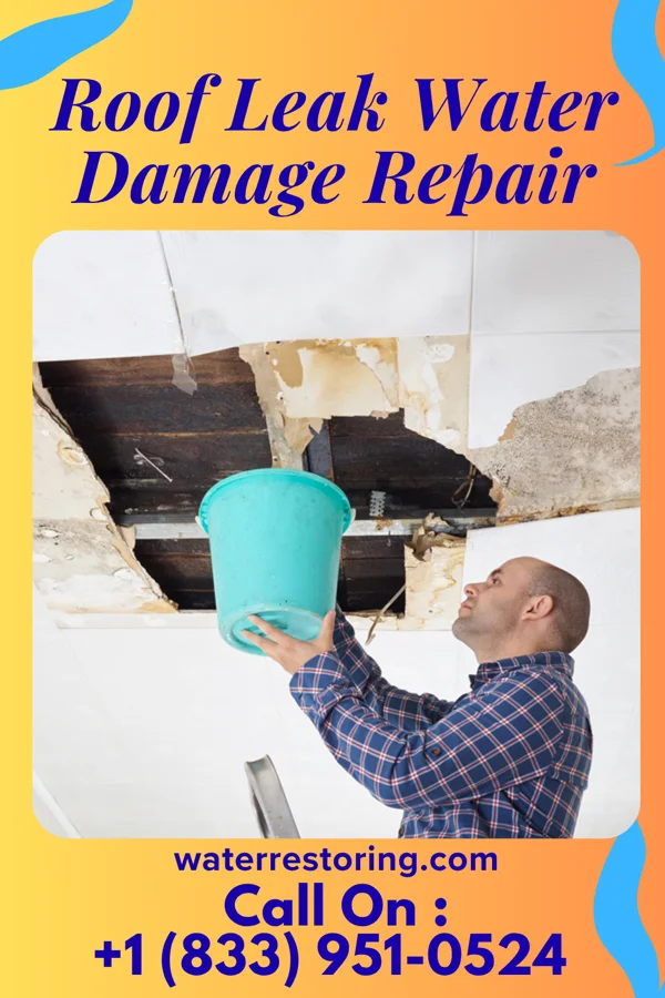 Roof Leak Water Damage Repair in East Honolulu, HI